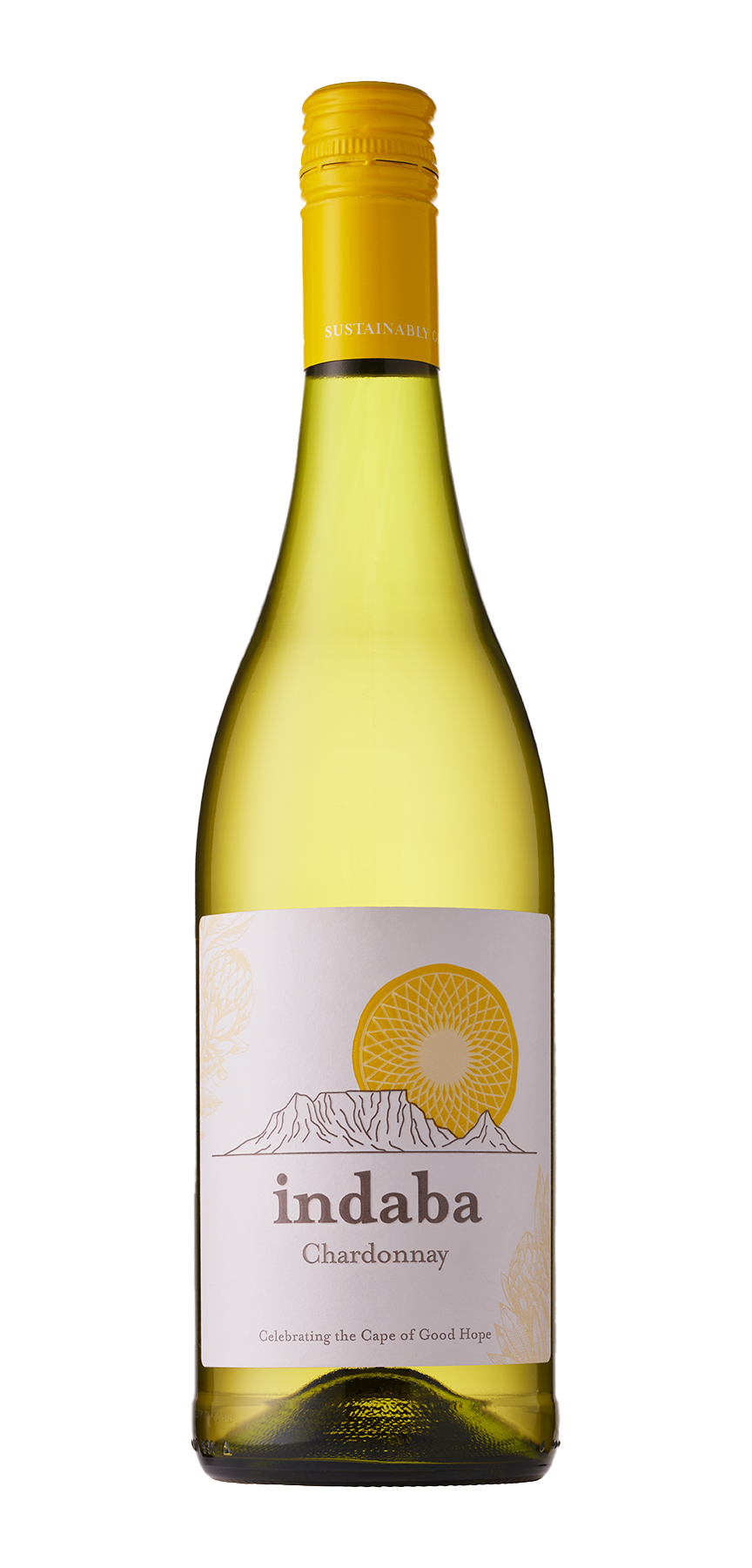Indaba Chardonnay