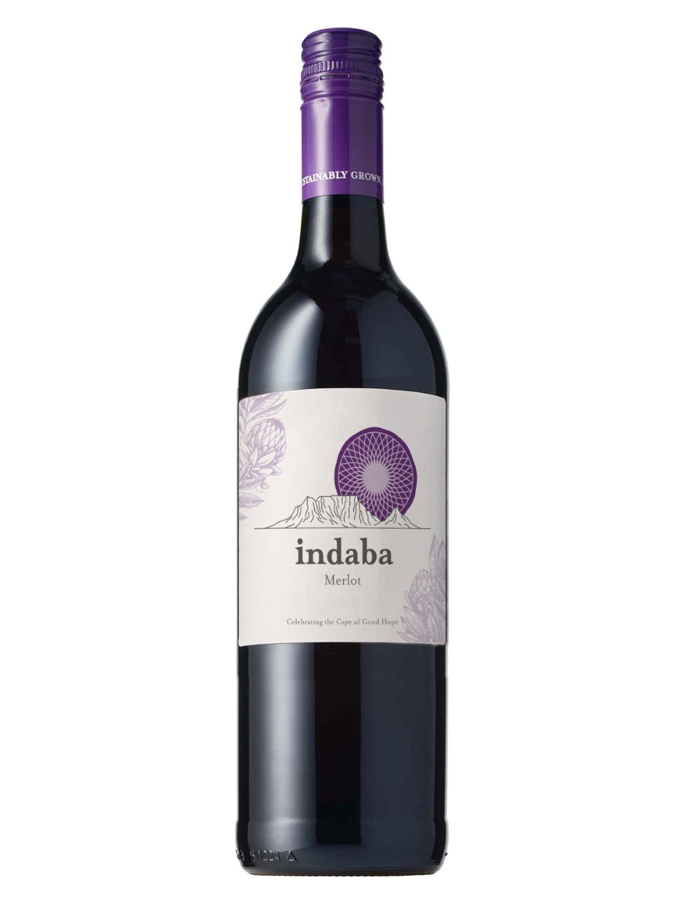 Indaba Merlot