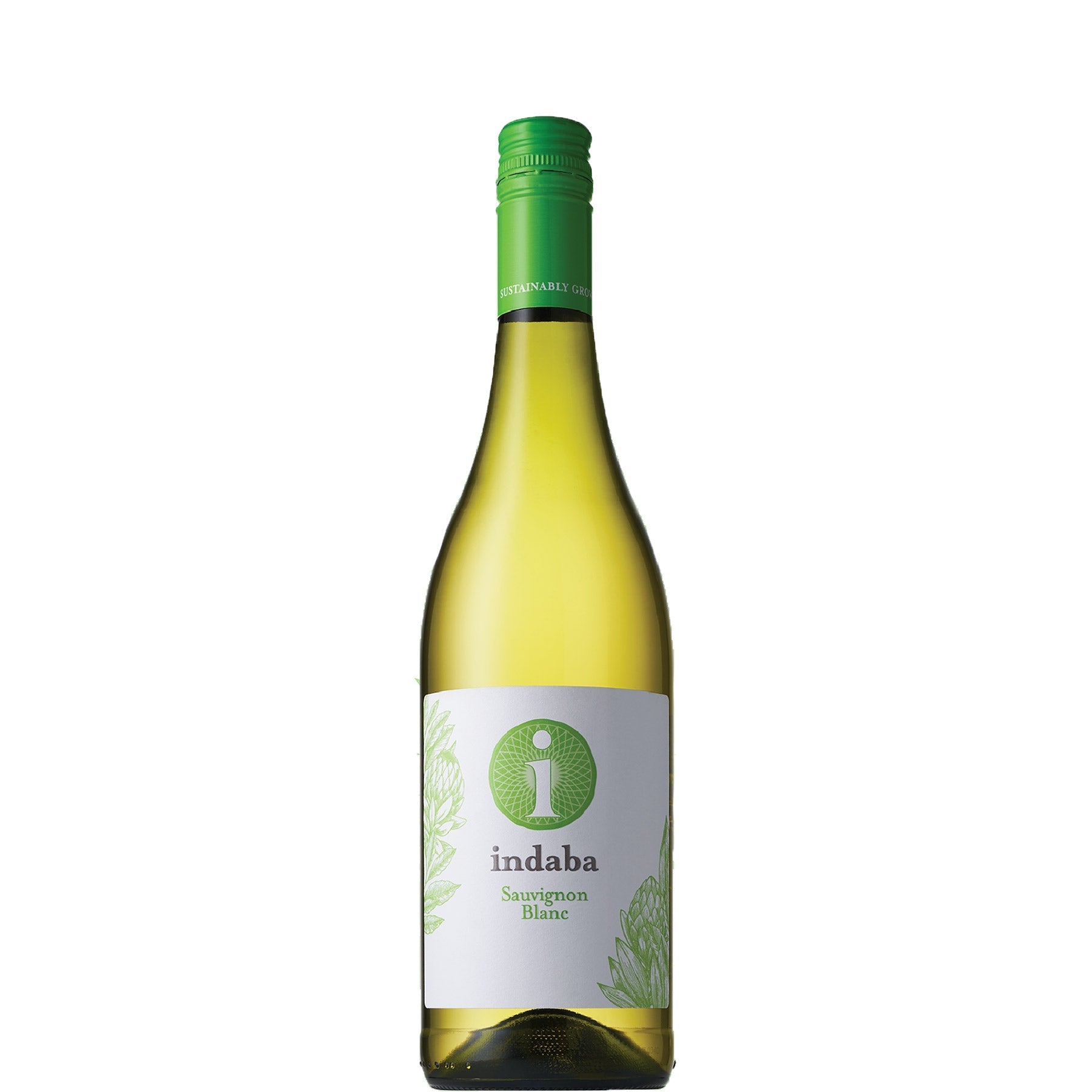 Indaba Sauvignon Blanc